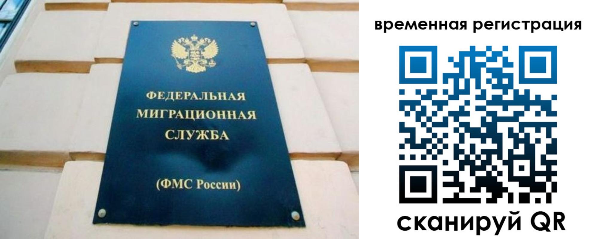 прописка гарантия в Вязьме